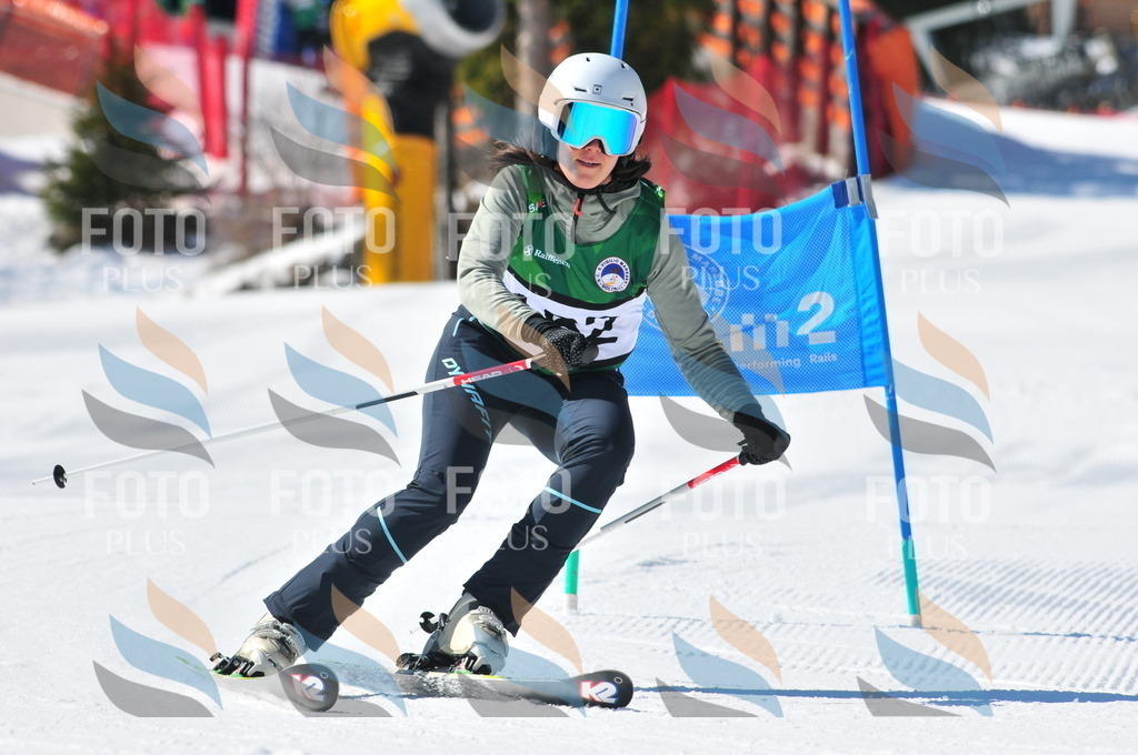 C4144 | holidayphoto