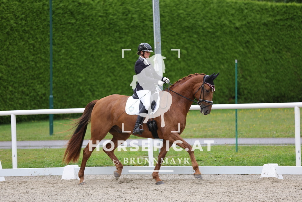 0P6A9071 | Willkommen bei Brunnmayr - Design & Fotografie – Ihrem Spezialisten für Reitturniere und Pferdeveranstaltungen in Oberösterreich, Salzburg und Bayern! Seit über 17 Jahren sind wir leidenschaftlich dabei.