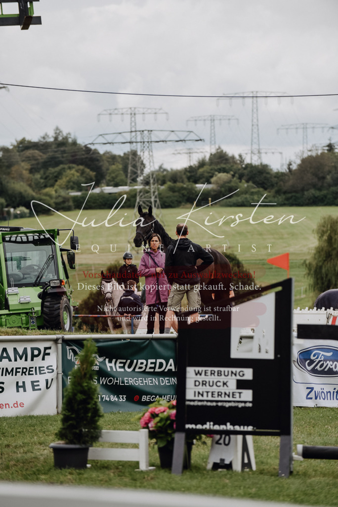 DSC_3812 | Pferde- und Turnierfotografie in Westsachsen. Pferdeportraits, Auftragszeichnungen und intuitive Kunst.