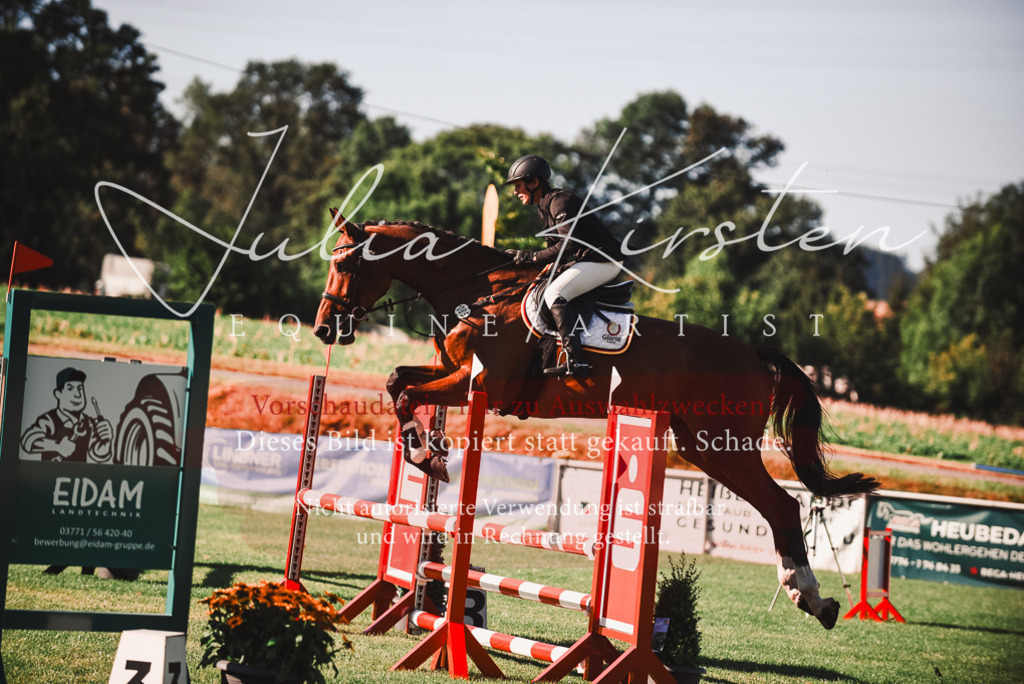 DSC_2248 | Pferde- und Turnierfotografie in Westsachsen. Pferdeportraits, Auftragszeichnungen und intuitive Kunst.