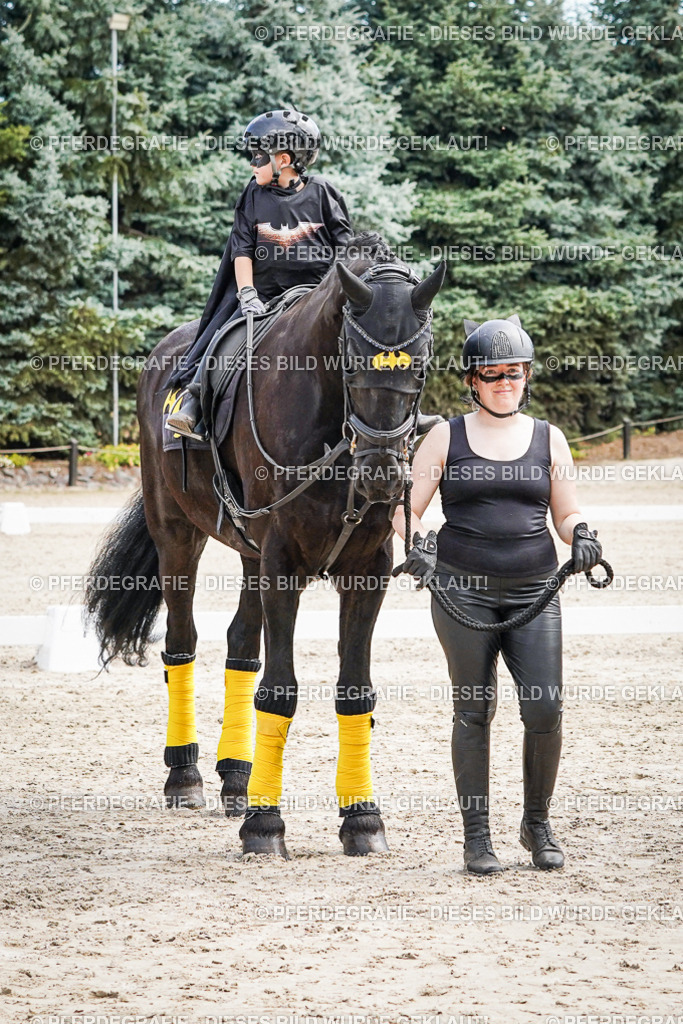 DSC03193 | Pferdegrafie