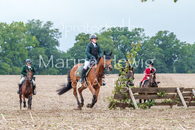 Jagd Perdoel 26 Sony-03238_MarinaHewig | Fotografie, FotoArt, PferdesportArt, Pferdesportfotografie, Landschaftsfotografie, Reisefotografie, Reise, Pferde - Realisiert mit Pictrs.com