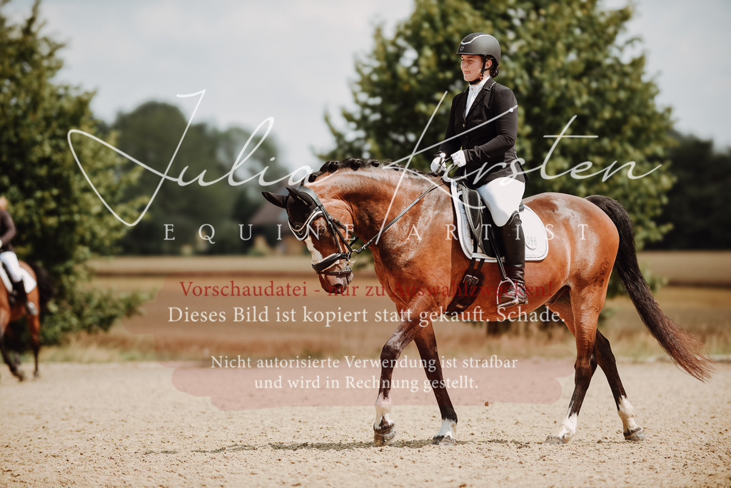 DSC_4295 | Pferde- und Turnierfotografie in Westsachsen. Pferdeportraits, Auftragszeichnungen und intuitive Kunst.