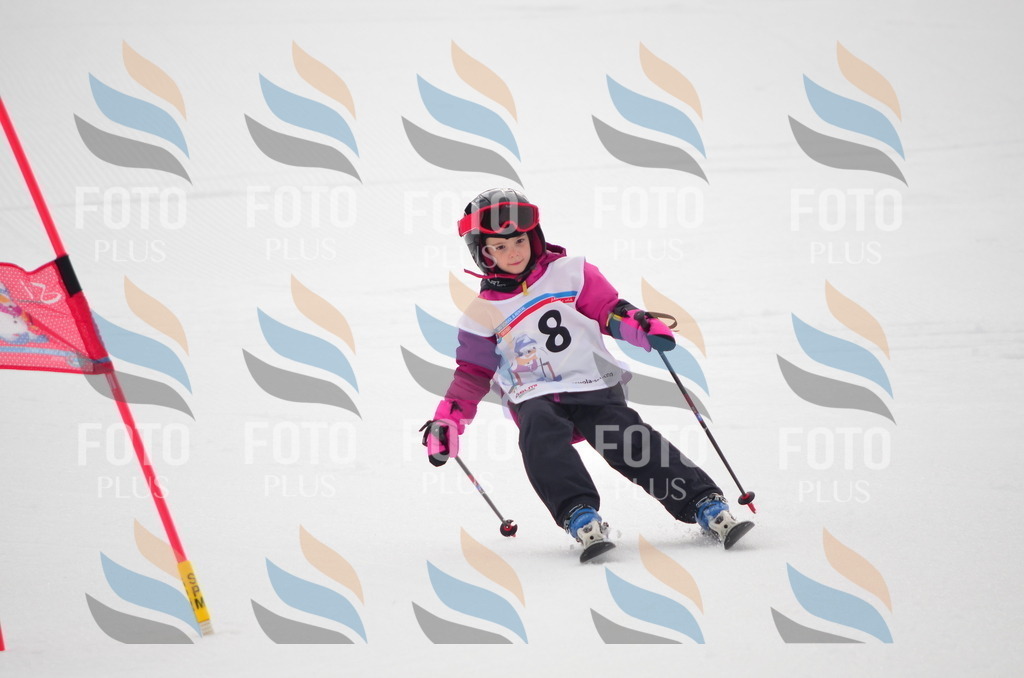 B9846 | holidayphoto