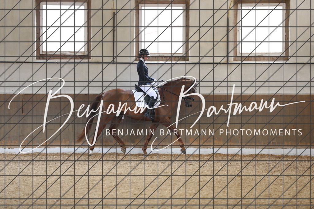 AZ2A0456 | Benjamin Bartmann Photomoments