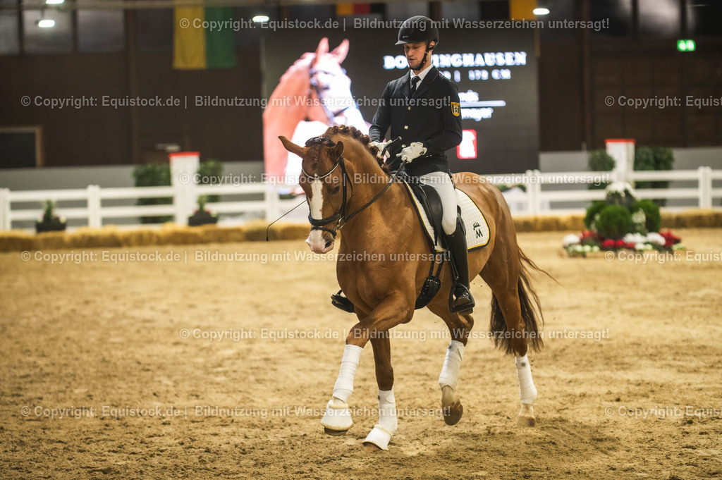 20240302_Hengstvorstellung_Marbach_TOMsPiC_0569 | equistock