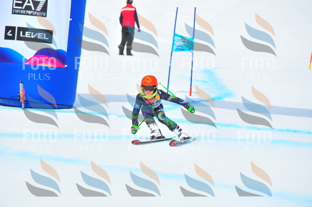 DSC_2092 | holidayphoto