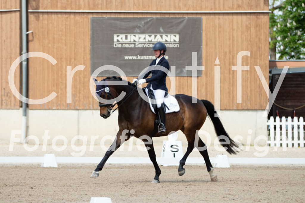 IMG_5646 | Creatify Fotografie