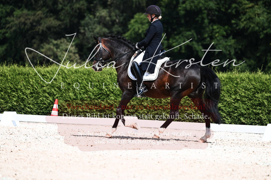 DSC_2959 | Pferde- und Turnierfotografie in Westsachsen. Pferdeportraits, Auftragszeichnungen und intuitive Kunst.