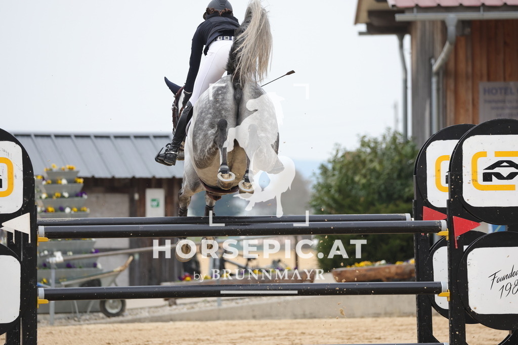 0P6A7812 | Willkommen bei Brunnmayr - Design & Fotografie – Ihrem Spezialisten für Reitturniere und Pferdeveranstaltungen in Oberösterreich, Salzburg und Bayern! Seit über 17 Jahren sind wir leidenschaftlich dabei.