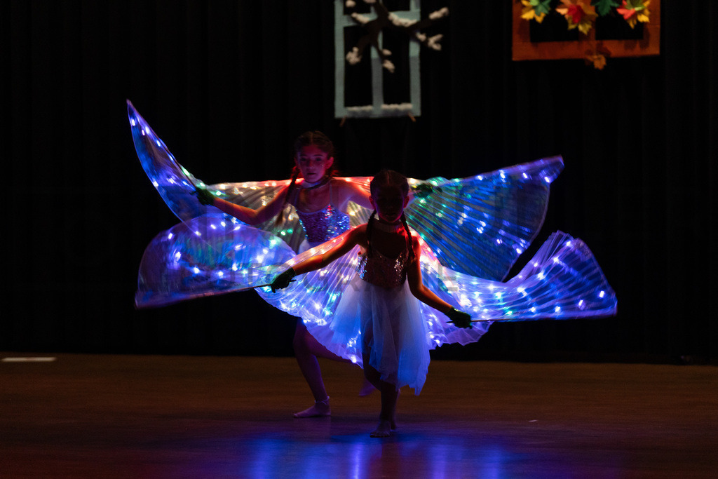 DSC08693 | Tinu Müller Fotografie- Bildershop - Realisiert mit Pictrs.com