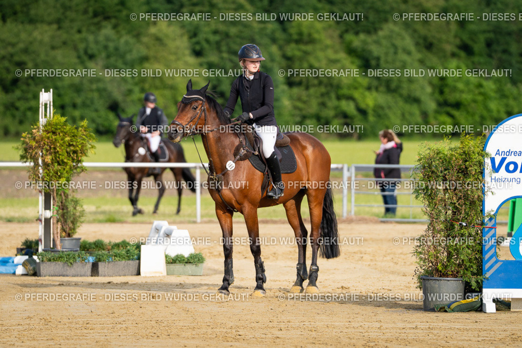 DSC02659 | Pferdegrafie