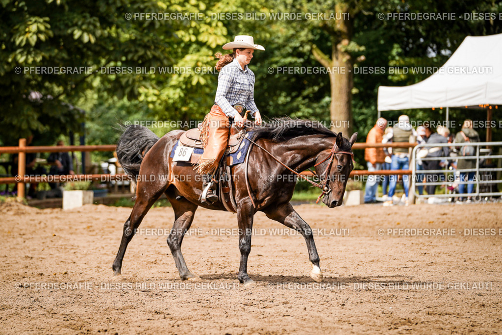 DSC08236 | Pferdegrafie