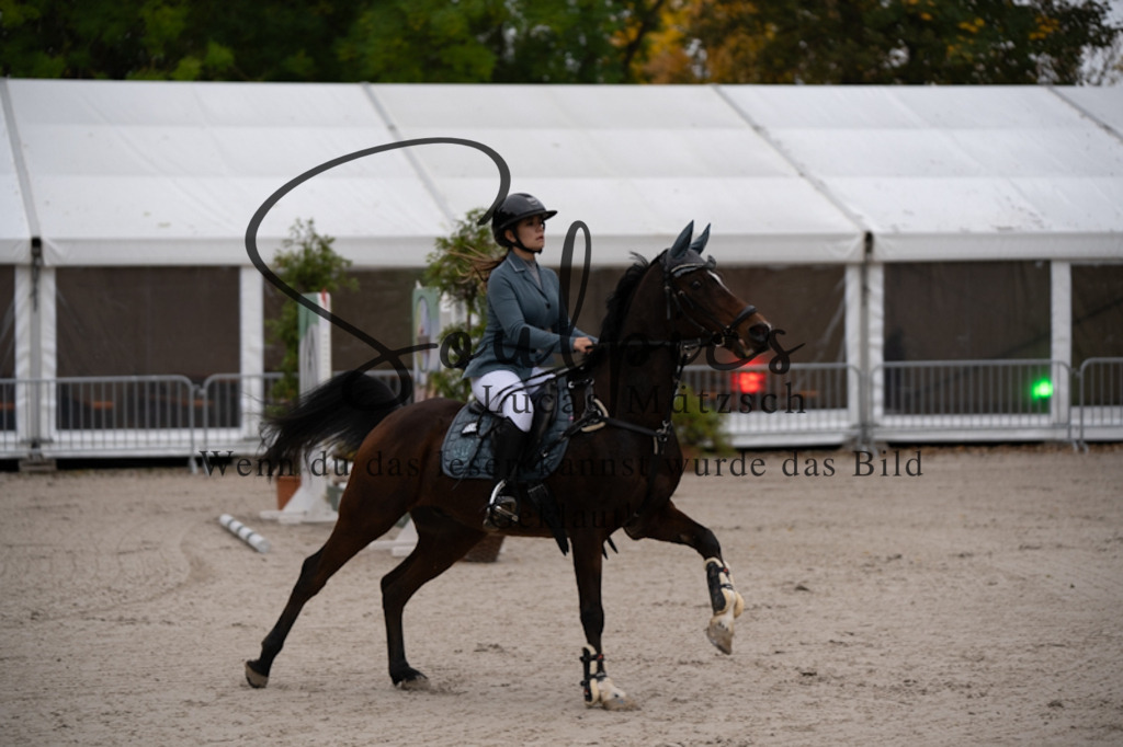 A7V09900 | Pferdefotograf