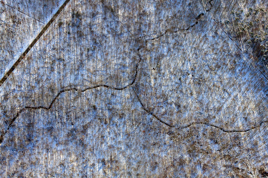 Verlauf des Pfirsinggraben im Bienwald bei Schnee im Winter | Luftbild: Verlauf des Pfirsinggraben im Bienwald bei Schnee im Winter im Ortsteil Büchelberg in Wörth im Bundesland Rheinland-Pfalz in Deutschland. Foto: IMG_36125.jpg vom 02.01.2011 durch Werner Riehm/FLY-FOTO.de - Realisiert mit Pictrs.com