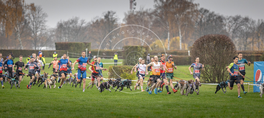CaniXpix_DV3A9432 | Hundefotografie, Tierfotograf, Pfotenfotografie, Fotoshooting Hund, Hunde Portrait, Hundesport, Hundeportraits, Heideshooting, Hunde, Sportfotograf, Hundefotograf, Turnierhundsport, THS,  - Realisiert mit Pictrs.com