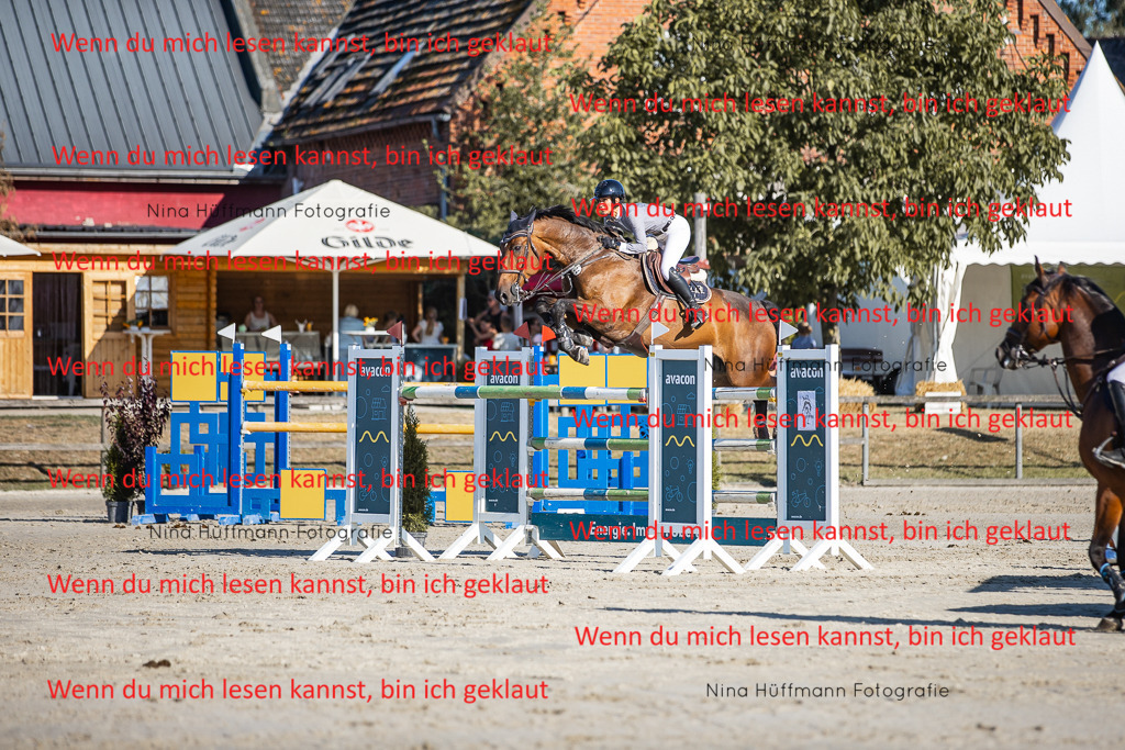 BK1A8637 | Turnierbilder Turnierfotos Nina Hüffmann Turnierfotografie Pferdefotografie Tierzeichnung Haustierzeichnung Pferdezeichnung Hundezeichnung Videograf  - Realisiert mit Pictrs.com