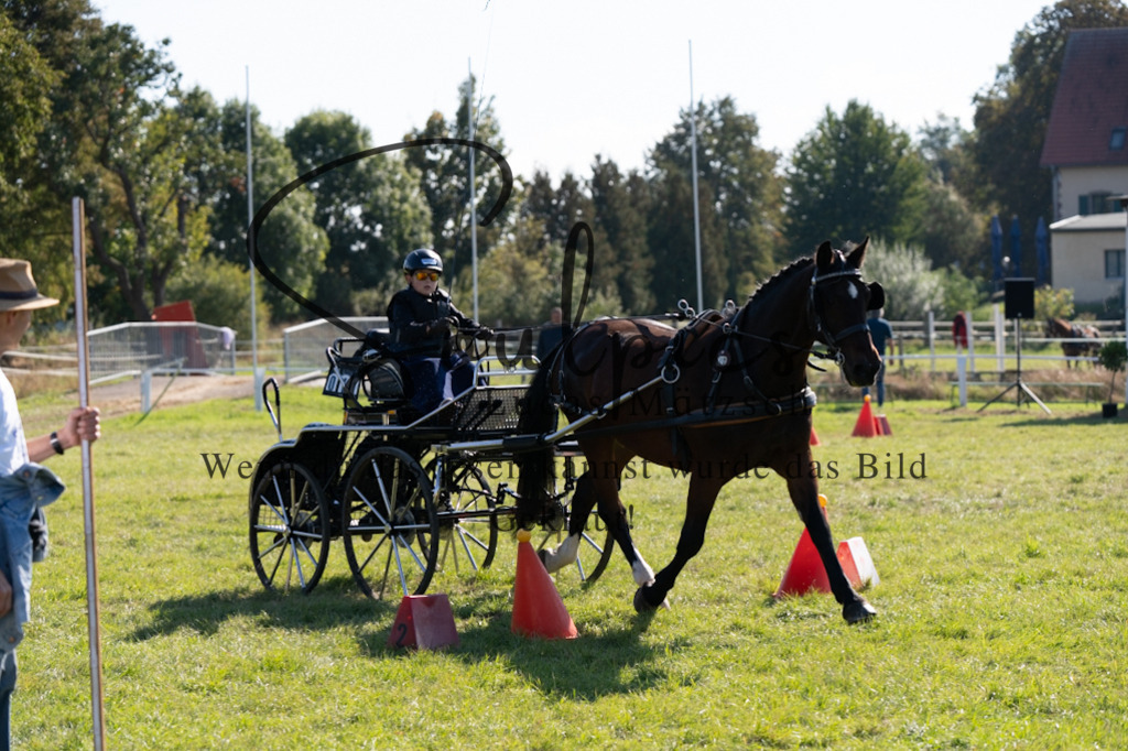 A7V04341 | Pferdefotograf