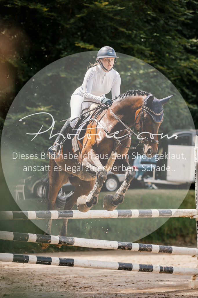 3I6A7924 | Stimmungsvolle Portraits und Reitsportfotografie im Ruhrgebiet und im Münsterland.

Pferdefotografie, Hundefotografie, Tierfotografie, Reportagen, Portraits von Tier und Mensch, Turnierfotografie in Bochum, Recklinghausen, Marl, Haltern am See, Dülmen.. - Realisiert mit Pictrs.com