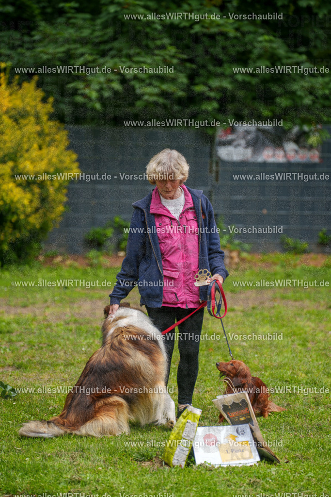 @allesWIRTHgut_Tierfotografie - www.allesWIRTHgut.de - 115139-7R508672 | Professionelle Tierfotografie in Mönchengladbach von Daniel Wirth (allesWIRTHgut). Liebevolle & natürliche Bilder von Hunden & Katzen für unvergessliche Erinnerungen.