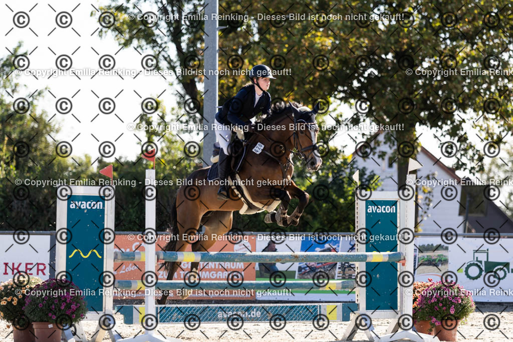 CL5A1246 | Emilia Reinking Fotografie - Realisiert mit Pictrs.com