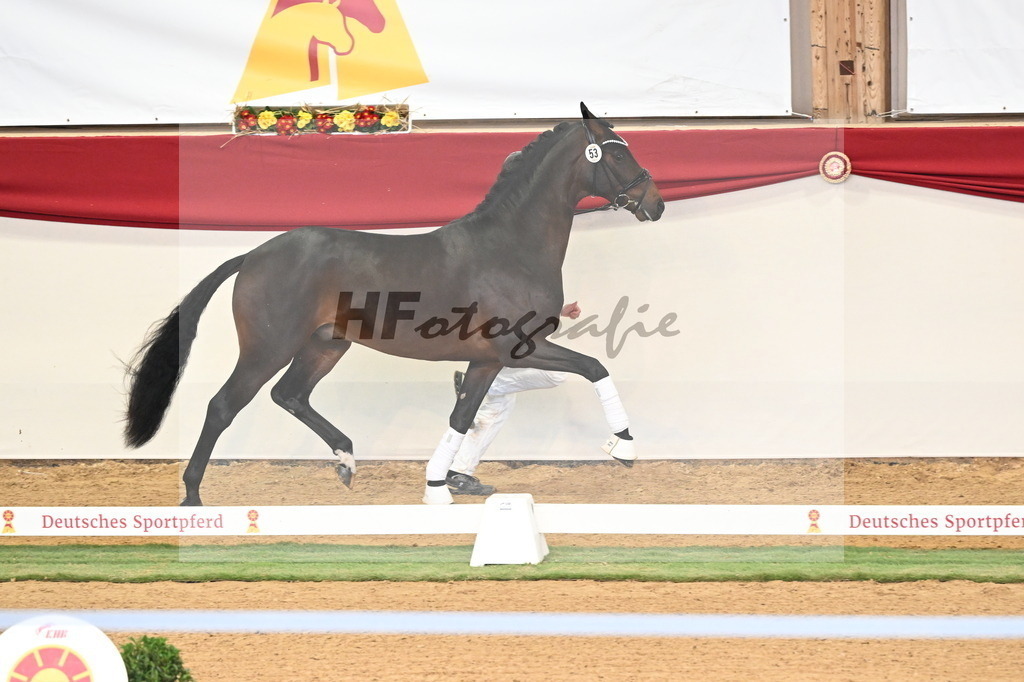 Kat.-Nr. 53 v. Feinsten_Kratzberg_3260539 | hf-fotografie - Realizzato con Pictrs.com