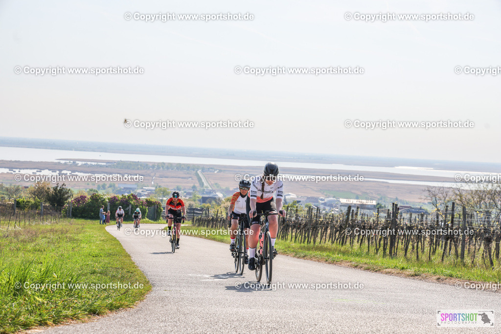 007A9253 | Neusiedlersee Radmarathon #neusiedlerseeradmarathon #neusiedlersee #nrm26 #yourpictrs #sportshot_your_pictrs