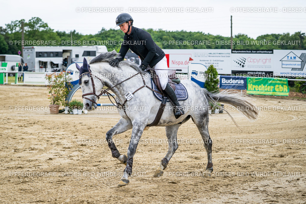 DSC05938 | Pferdegrafie