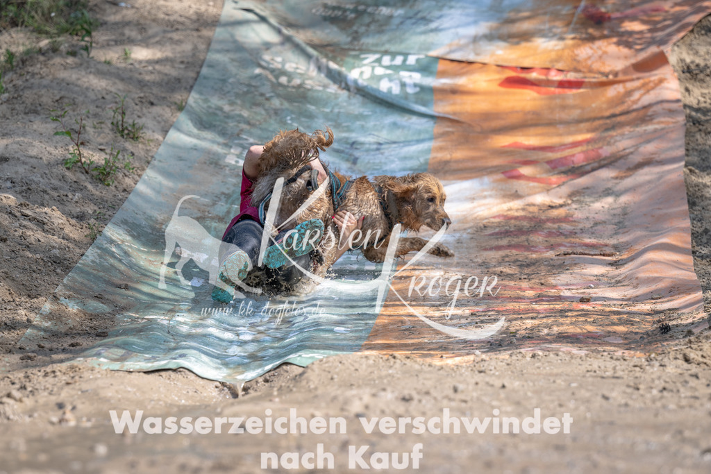 1135_ZZ90504 | kk-dogfotos