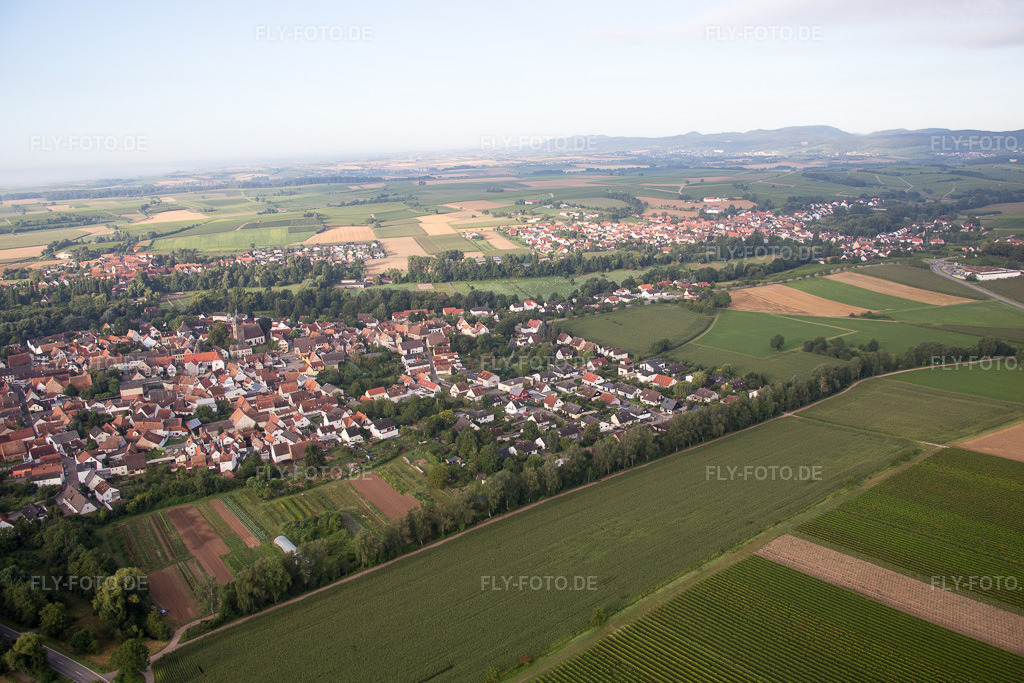 Luftbild: Billigheim-Ingenheim, Maxburgstr im Ortsteil Billigheim in Billigheim-Ingenheim im Bundesland Rheinland-Pfalz in Deutschland. Foto: IMG_092733.jpg vom 13.08.2016 durch Werner Riehm/FLY-FOTO.de