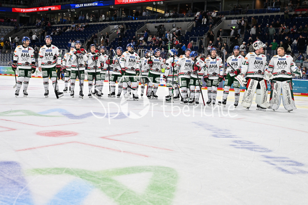 Adler Mannheim - Augsburger Panther | MANNHEIM, DEUTSCHLAND - 25. FEBRUAR: Die Spieler der Panther bedanken sich nach dem Auswärtssieg in Mannheim bei den Fans nach dem Match zwischen den Adler Mannheim und den Augsburger Panthern am 45. Spieltag der Penny DEL in der SAP Arena