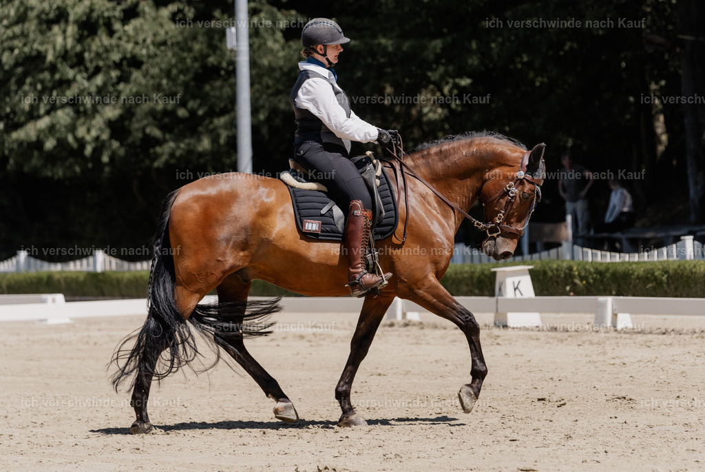 WE_DR_80_SinaFilmArt_IN03377 | working equitationturnier fotograf videograf stoibphotography marixx film working equitation deutschland reitsport turnierfotografie eventfotografie equestrian events