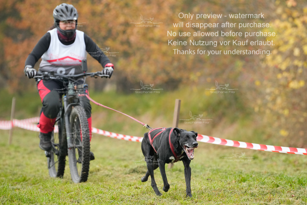 Visbeck_Sa_Bike-290 | stephaniefillaphotographie - Realisiert mit Pictrs.com
