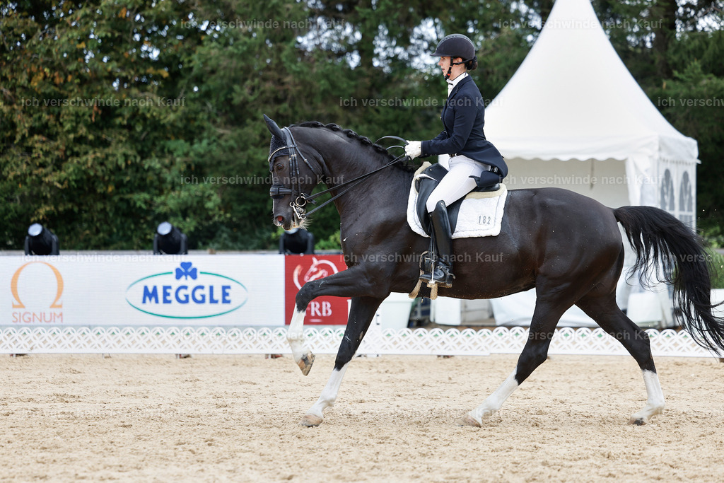6-182-AMATUER-DRESSUR S_  -StoibPH-3507 | working equitationturnier fotograf videograf stoibphotography marixx film working equitation deutschland reitsport turnierfotografie eventfotografie equestrian events
