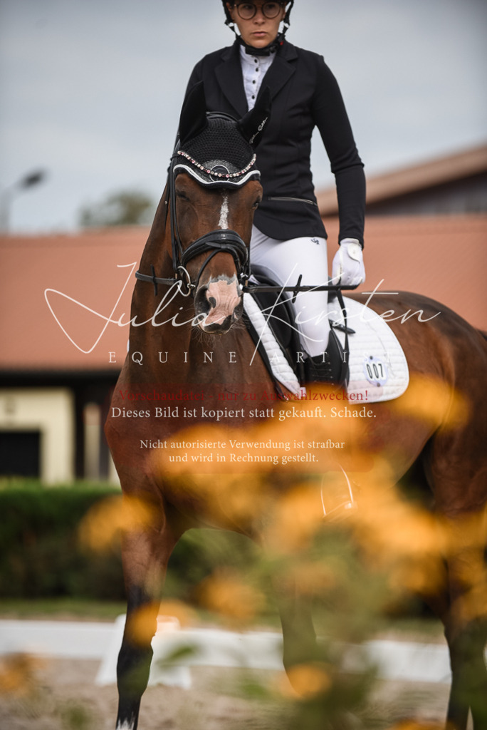 DSC_8521 | Pferde- und Turnierfotografie in Westsachsen. Pferdeportraits, Auftragszeichnungen und intuitive Kunst.