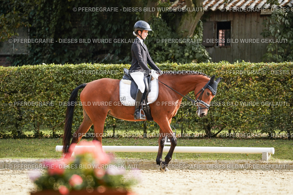 DSC05063 | Pferdegrafie