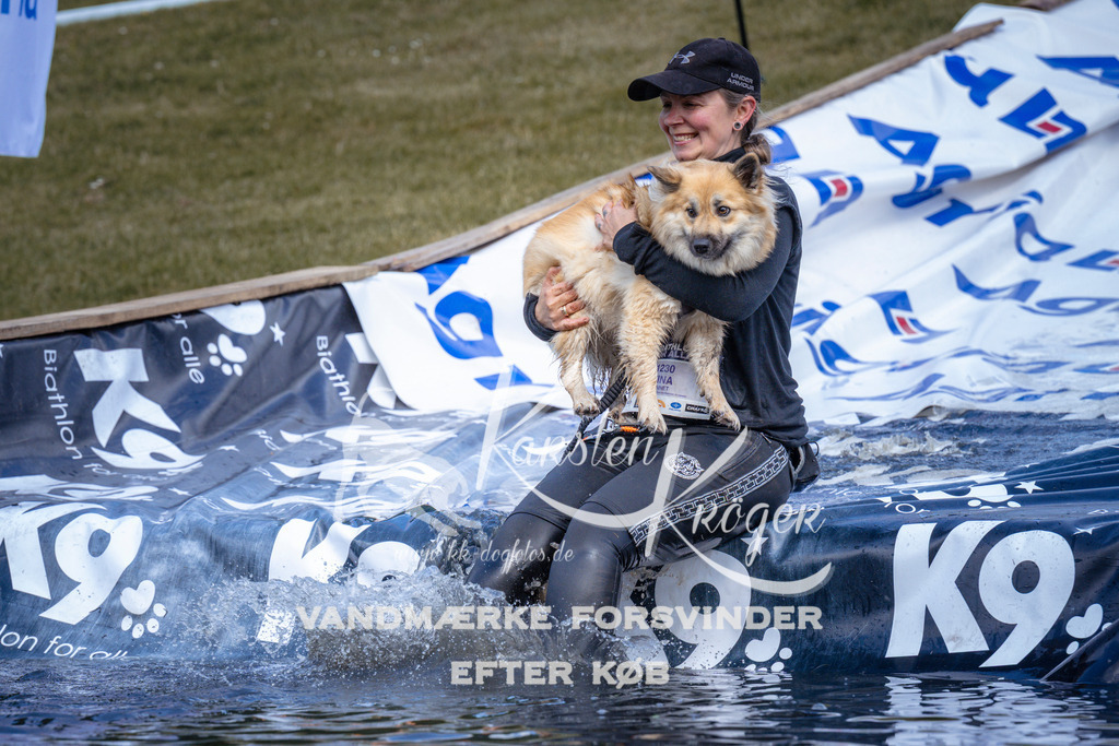 _ZZ929340935 | kk-dogfotos