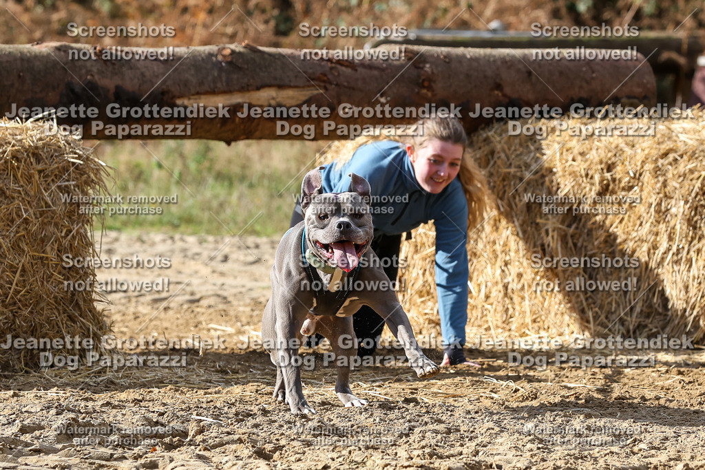 Dog Paparazzi - Strongdog 10-25-4985 | Dog Paparazzi Jeanette Grottendiek Fotografie & Videografie - Realisiert mit Pictrs.com