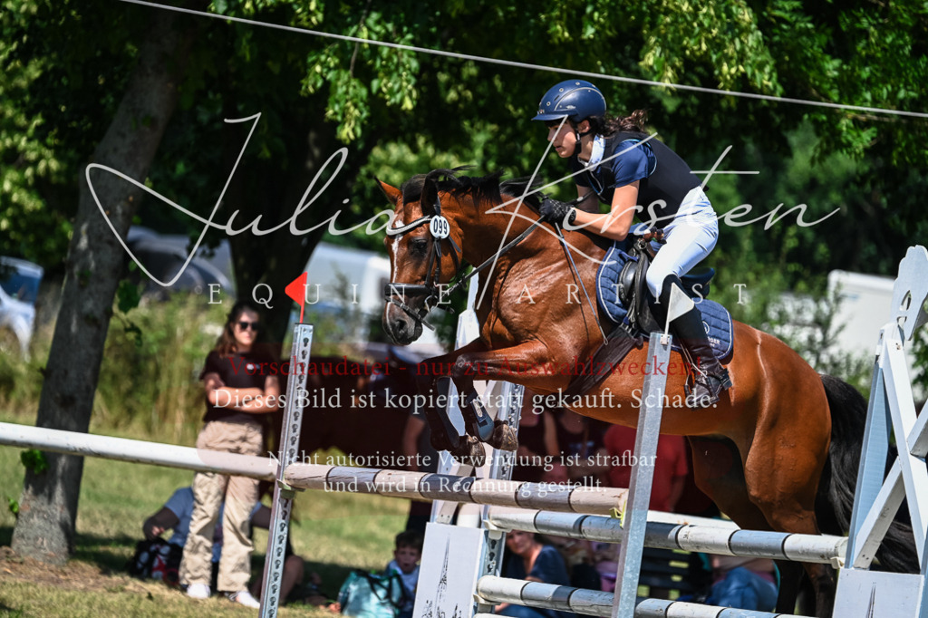 DSC_0913 | Pferde- und Turnierfotografie in Westsachsen. Pferdeportraits, Auftragszeichnungen und intuitive Kunst.