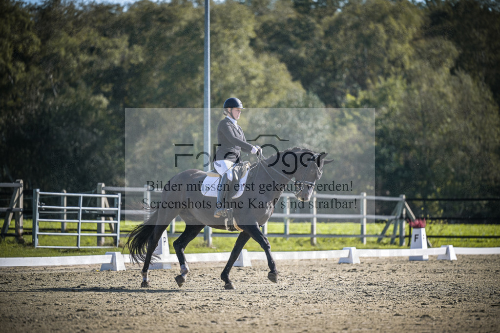 DOS_1802 | Entdecke hochwertige Reitturnierfotos von Foto Oger. Professionell, emotional und authentisch – jetzt Lieblingsmomente im Shop bestellen.Deutschlandweite Turnierfotografie. - Realisiert mit Pictrs.com