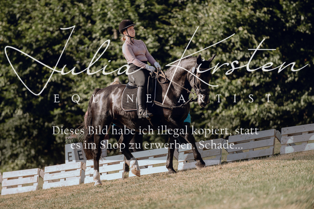 DSC_7089 | Pferde- und Turnierfotografie in Westsachsen. Pferdeportraits, Auftragszeichnungen und intuitive Kunst.