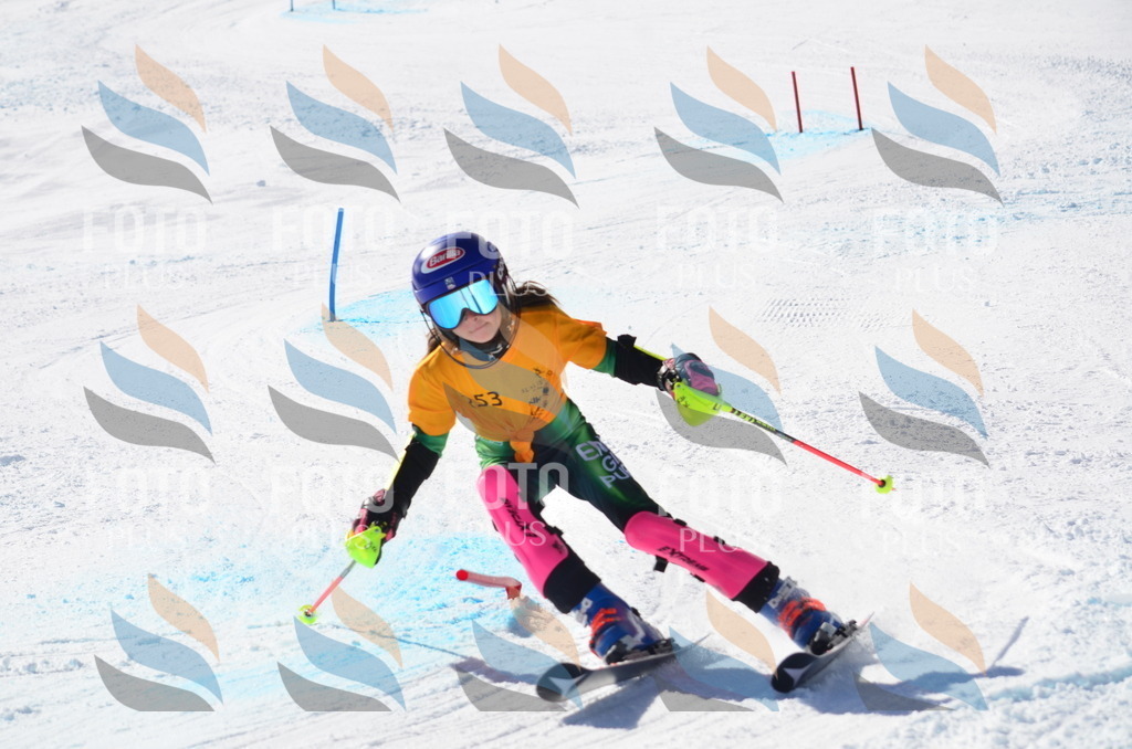 C8457 | holidayphoto