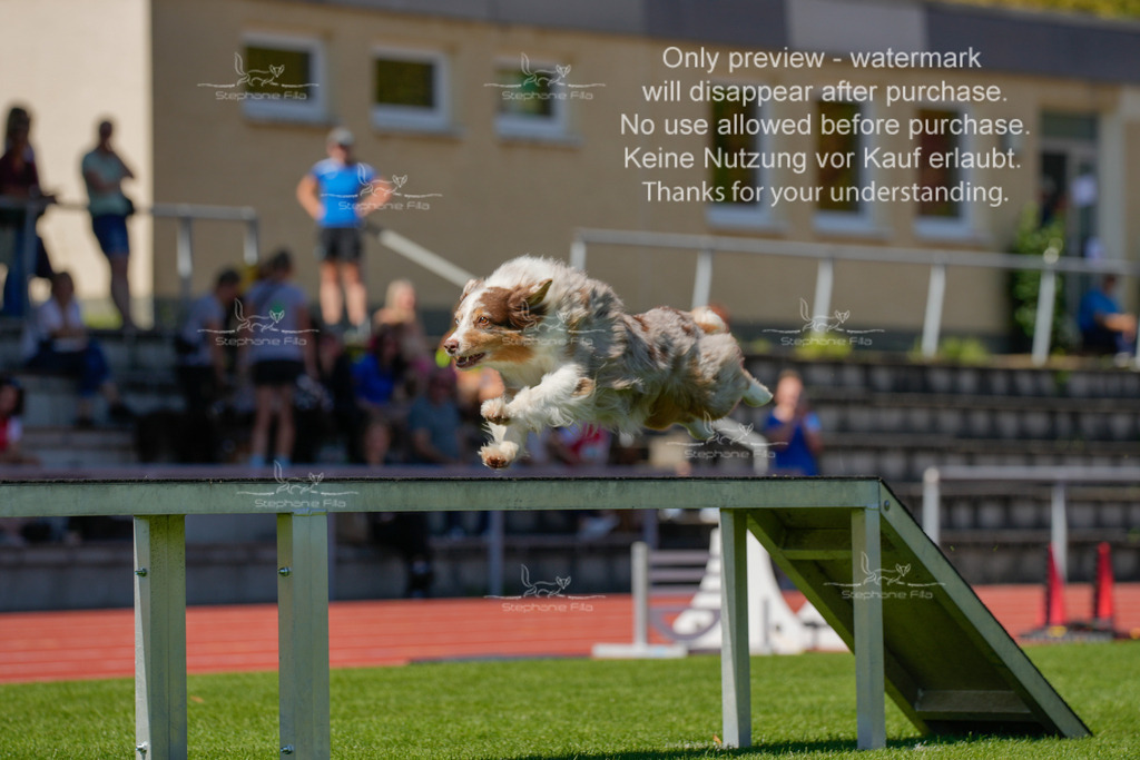 Sonntag_VK Hindernis (319 von 671) | stephaniefillaphotographie - Realisiert mit Pictrs.com