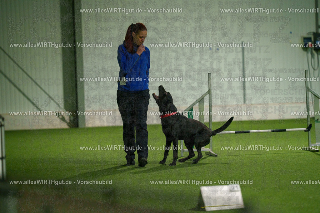 7R508471 | Professionelle Tierfotografie in Mönchengladbach von Daniel Wirth (allesWIRTHgut). Liebevolle & natürliche Bilder von Hunden & Katzen für unvergessliche Erinnerungen.