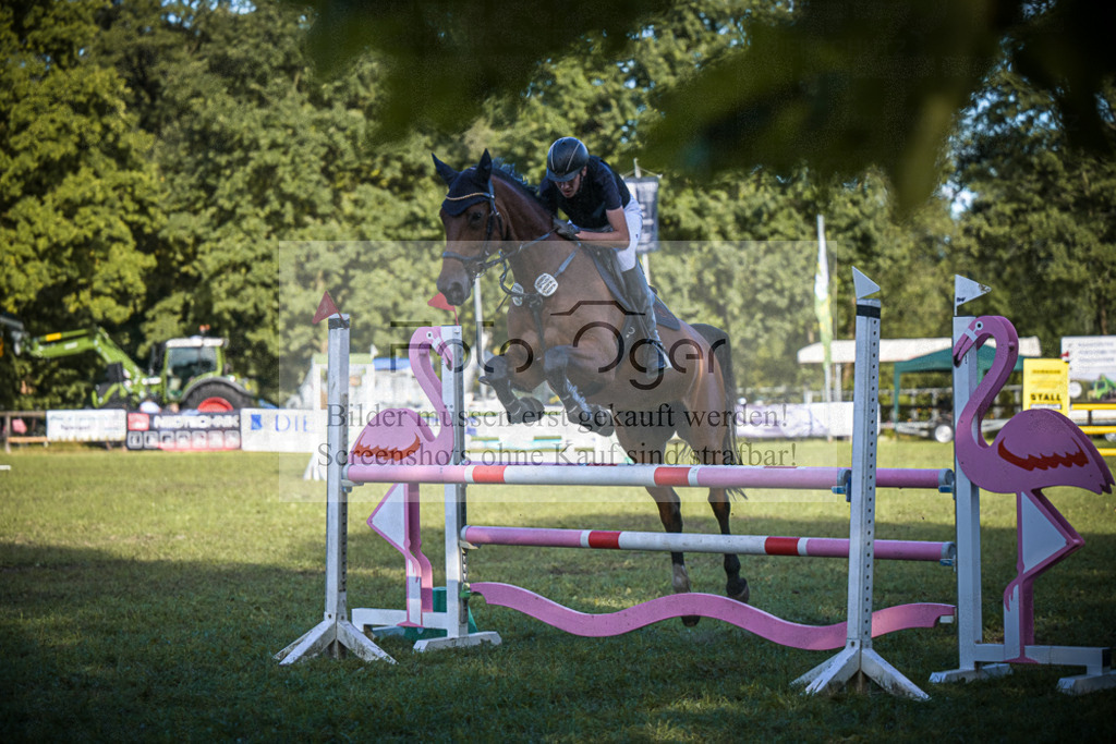 DOS_0879 | Entdecke hochwertige Reitturnierfotos von Foto Oger. Professionell, emotional und authentisch – jetzt Lieblingsmomente im Shop bestellen.Deutschlandweite Turnierfotografie. - Realisiert mit Pictrs.com