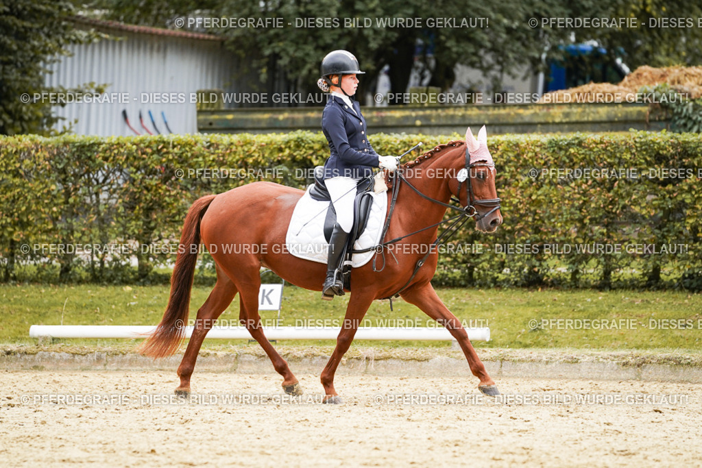 DSC09820 | Pferdegrafie