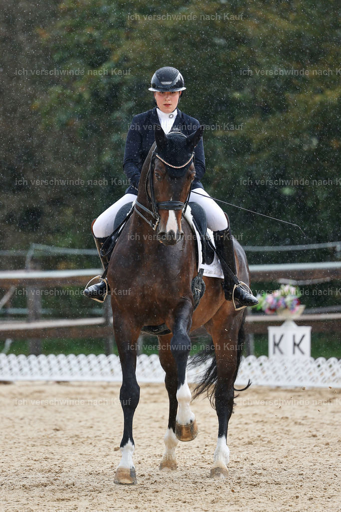 05-244-DRESSUR M_  -StoibPH-4901 | working equitationturnier fotograf videograf stoibphotography marixx film working equitation deutschland reitsport turnierfotografie eventfotografie equestrian events