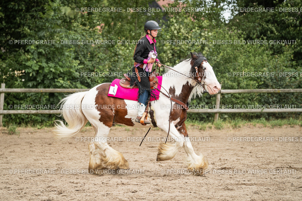 DSC04103 | Pferdegrafie