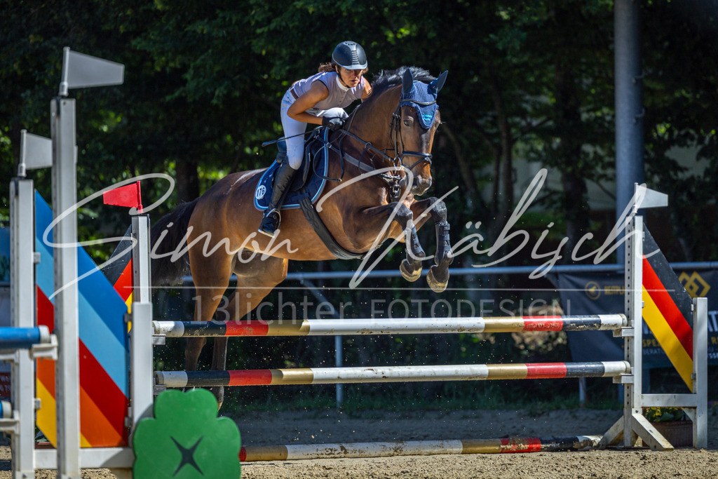 20260704-_3LI7497 | Tierfotografie Pferde, Hunde, Katzen, Haustiere.
Turnierfotografie Reitturniere, Reiten, Springreiten, Dressur in Hanau, dem Main-Kinzig-Kreis und dem Rhein-Main- Gebiet um Frankfurt