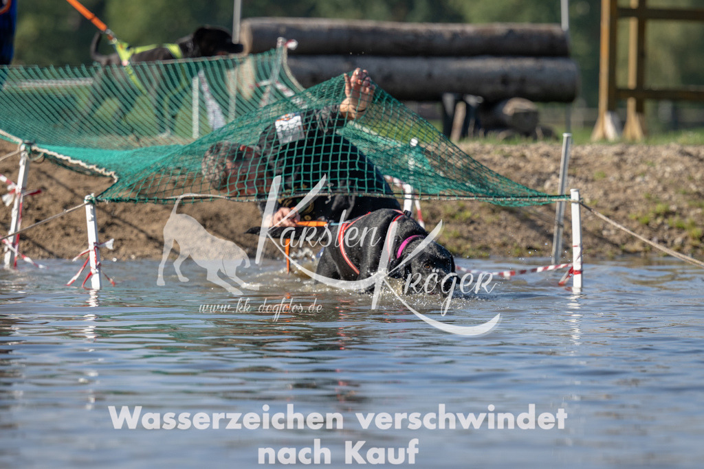 1123_ZZ92643 | kk-dogfotos